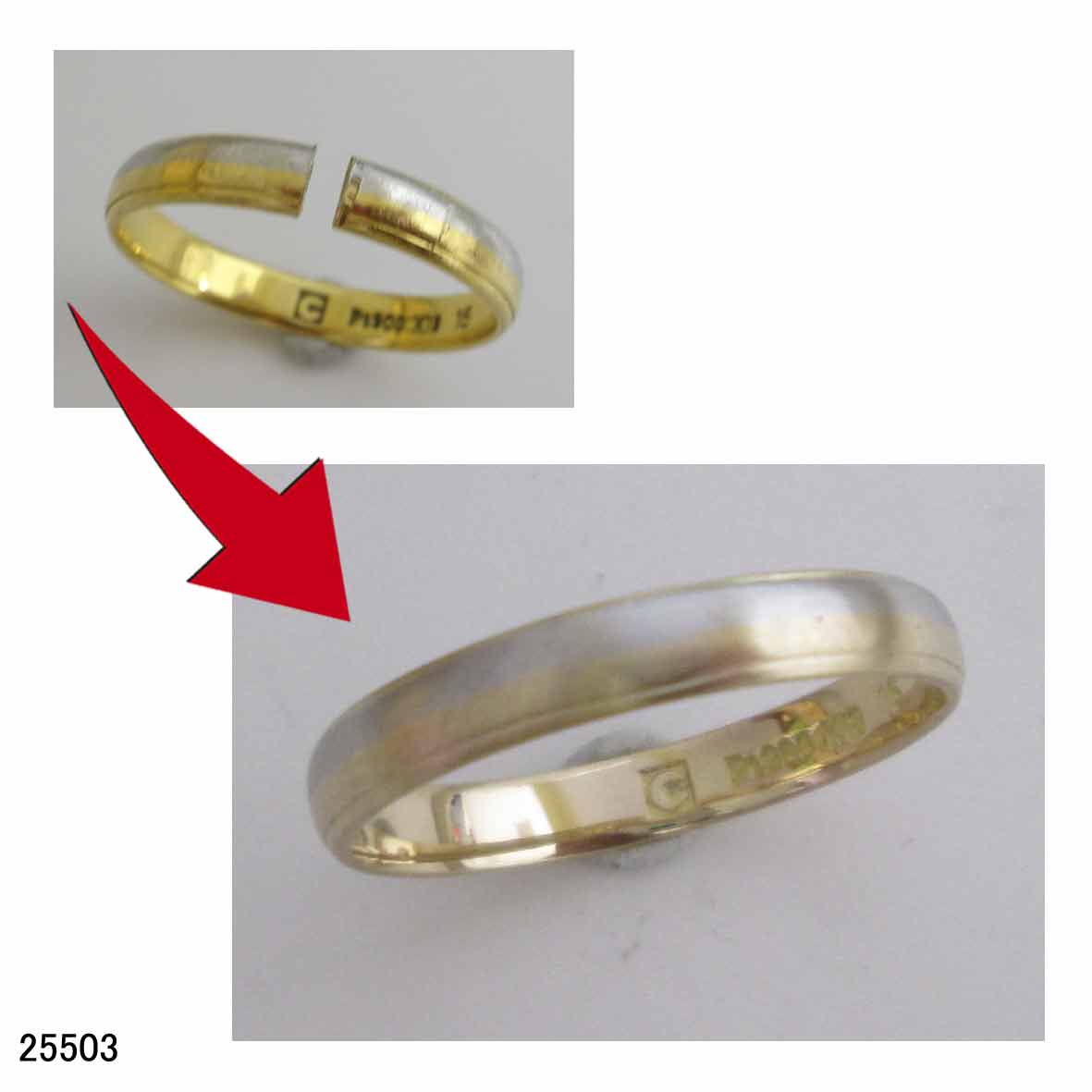 25503